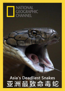 亚洲最致命毒蛇