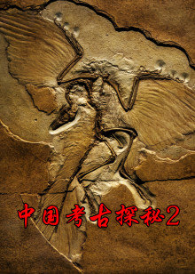中国考古探秘第2部